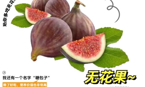 肺火旺盛脸上长痘痘-专业女人肺火旺脸上长疙瘩图片平台-肺热导致脸上长痘怎么治